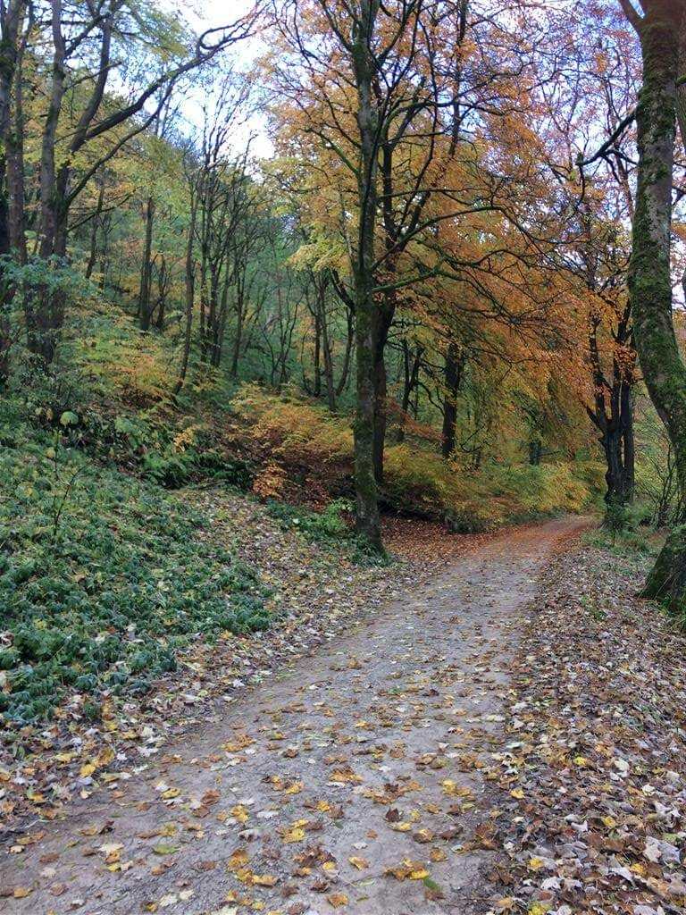 Blackwell-Mill-11-768×1024 Blackwell Mill Cycle Hire - Monsal Trail