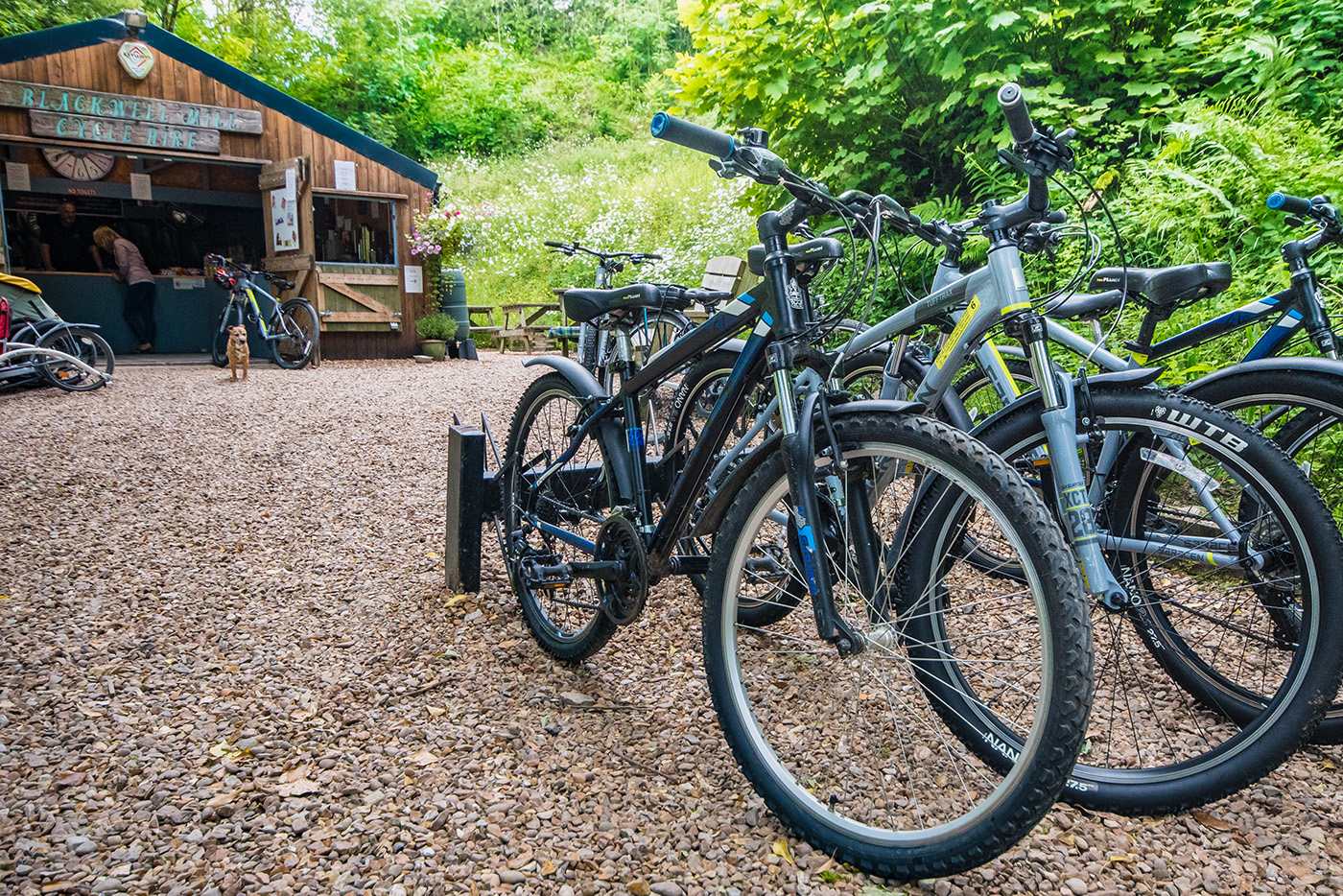 Blackwell-Mill-Cycle-Hire-Slide Monsal Trail Cycle Hire