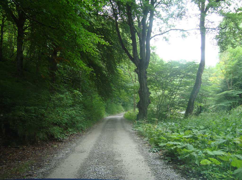 bwm17 Blackwell Mill Cycle Hire - Monsal Trail