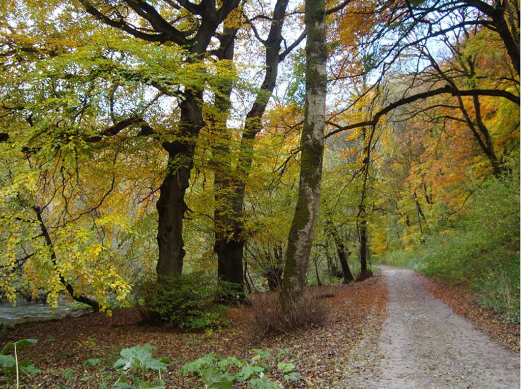 bwm18 Blackwell Mill Cycle Hire - Monsal Trail