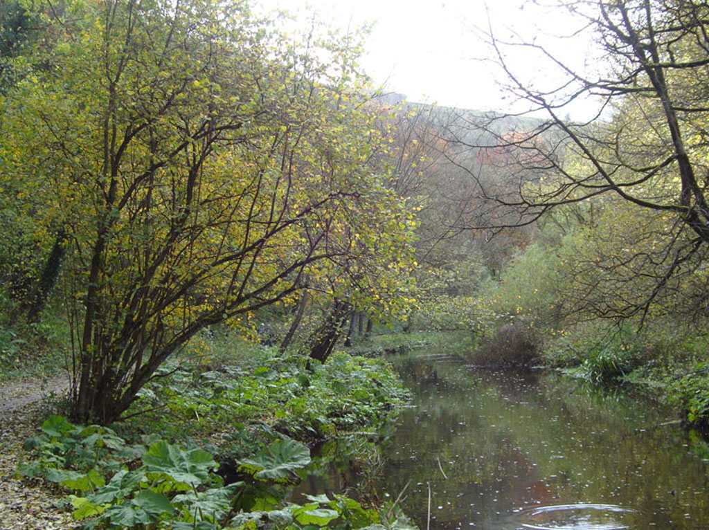 bwm19 Blackwell Mill Cycle Hire - Monsal Trail
