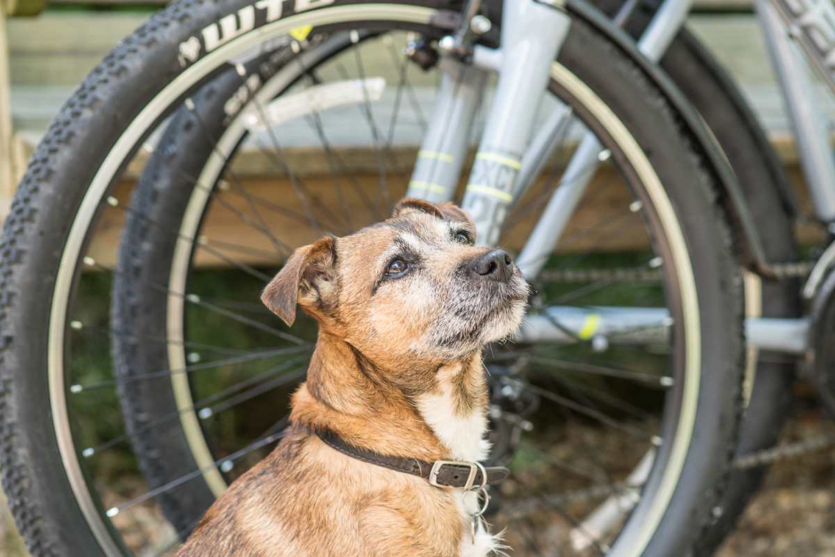 Blackwell-Mill-Cycle-Hire–14 Blackwell Mill Cycle Hire - Monsal Trail