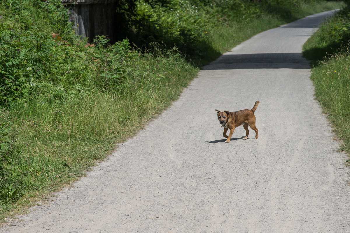 Blackwell-Mill-Cycle-Hire–45 Monsal Trail Cycle Hire